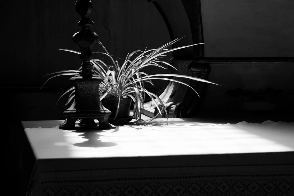 133_SienaDayTrip_Photos (11 of 32).jpg