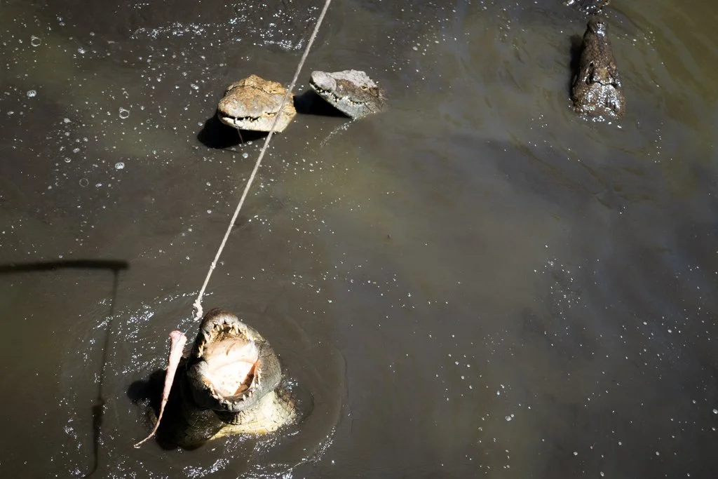 TravelPresentation (422 of 483).jpg