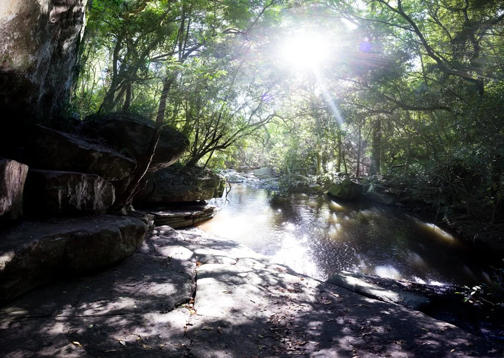 TravelPresentation (393 of 483).jpg