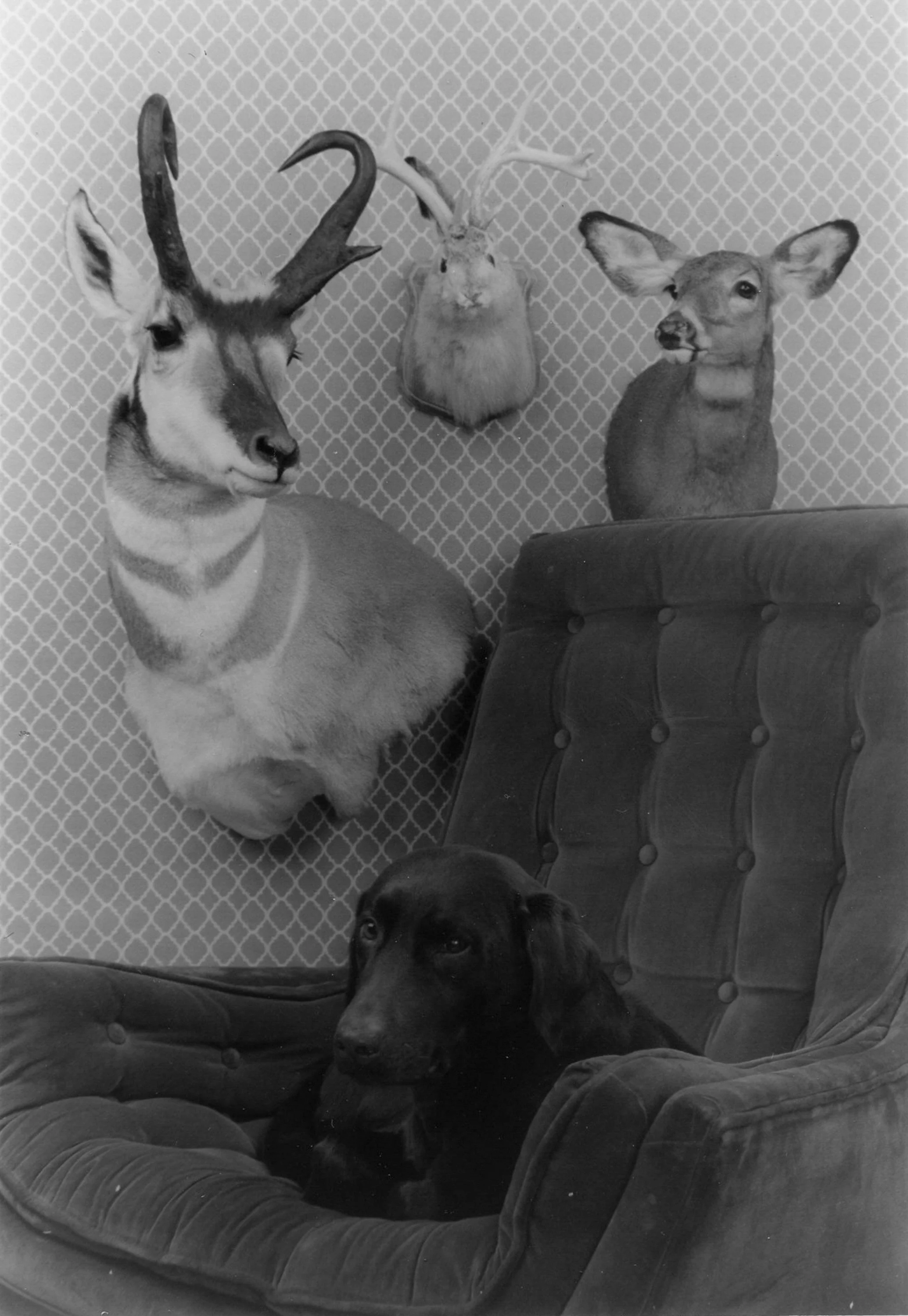 Houston Wedding Photographer Creative Photography-17.jpg