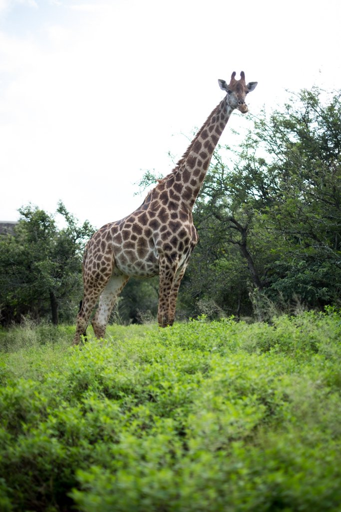 TravelPresentation (402 of 483).jpg