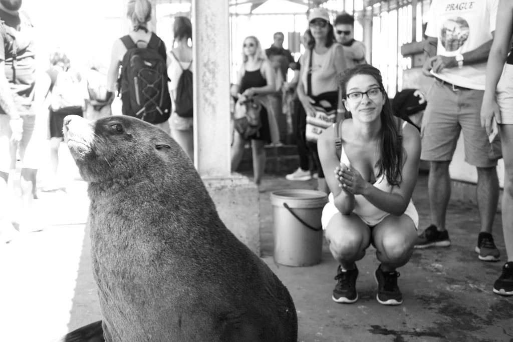 TravelPresentation (334 of 483).jpg