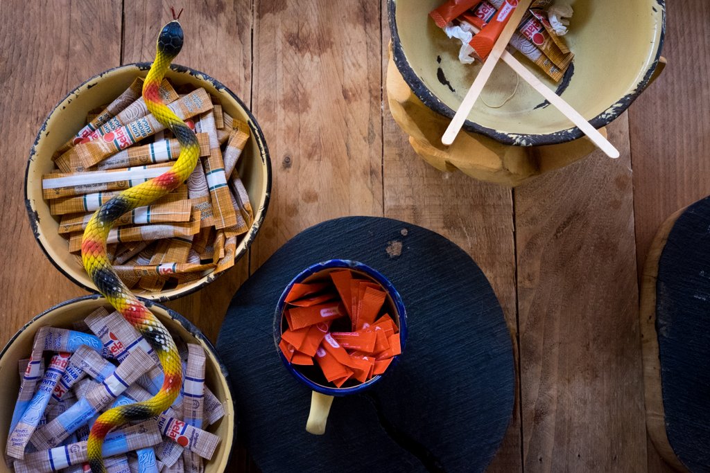 TravelPresentation (406 of 483).jpg