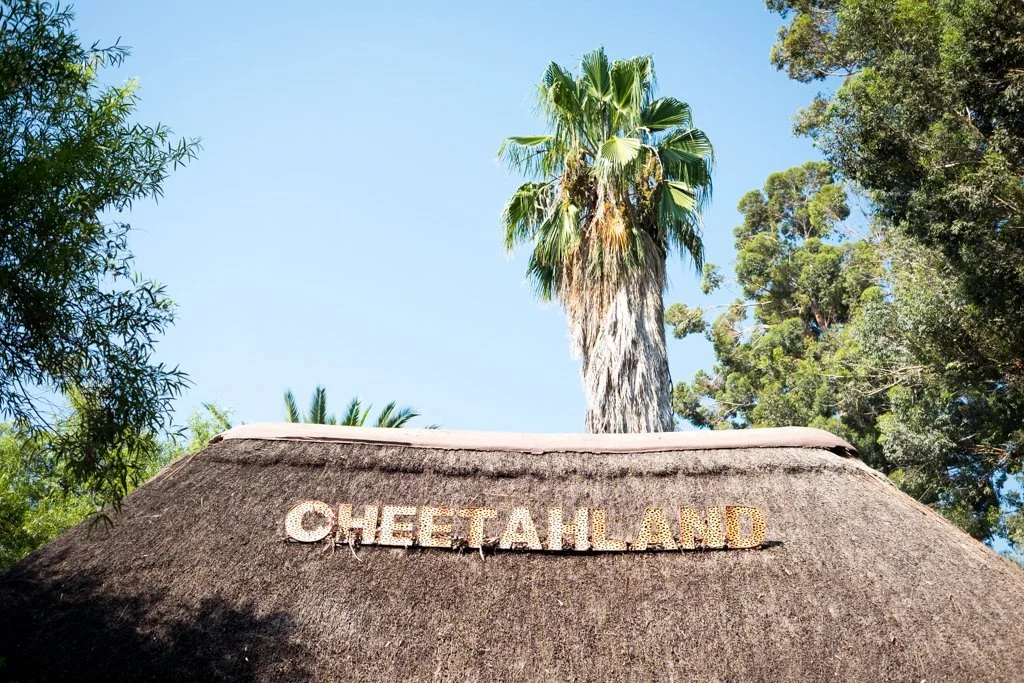 TravelPresentation (370 of 483).jpg