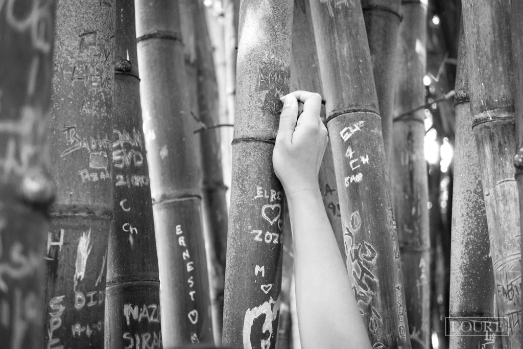 TravelPresentation (327 of 483).jpg