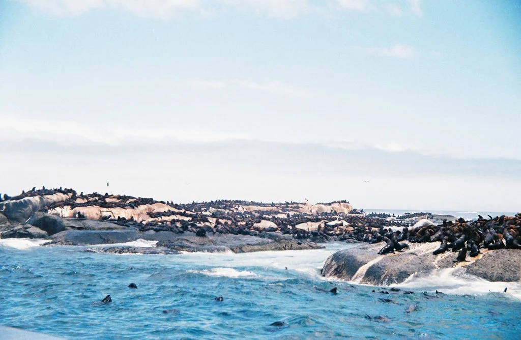 TravelPresentation (359 of 483).jpg