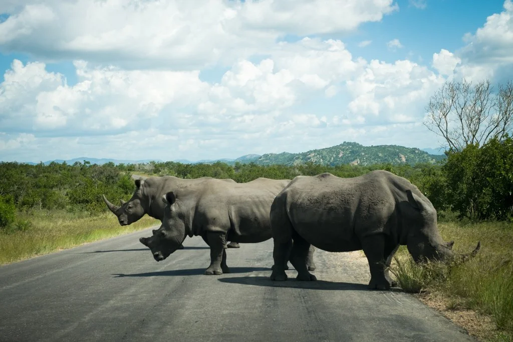 TravelPresentation (407 of 483).jpg