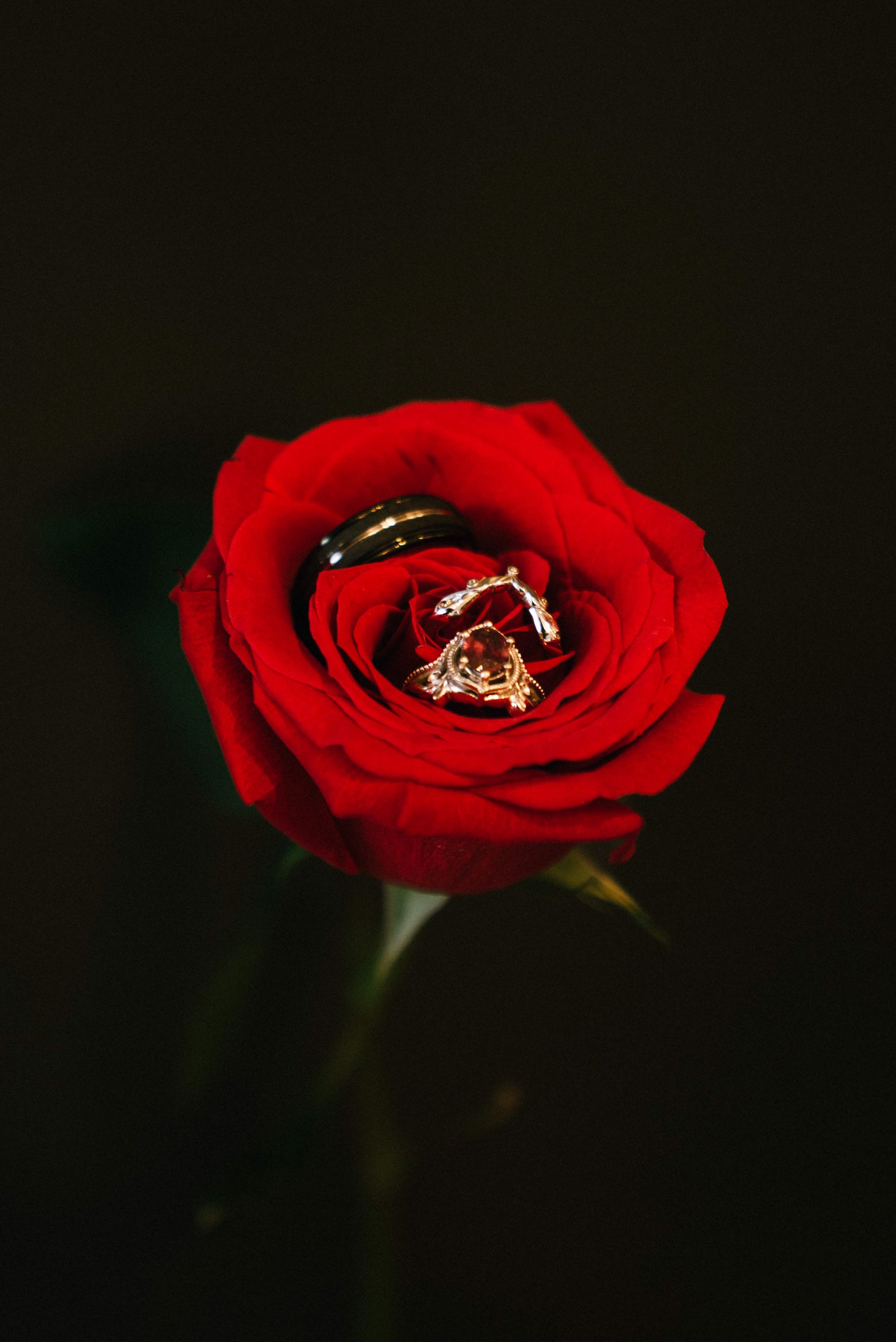 Houston Wedding Photographer Gallery Example-2.jpg