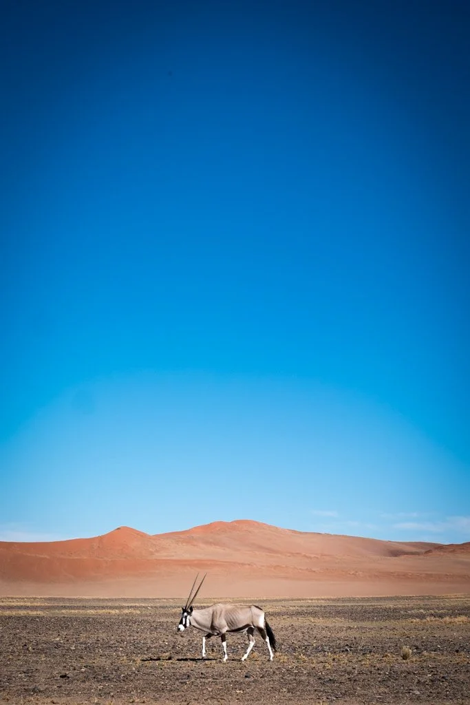 TravelPresentation (444 of 483).jpg