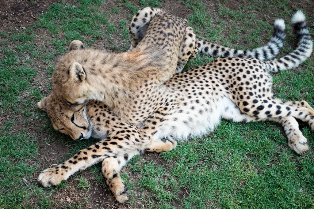 TravelPresentation (372 of 483).jpg