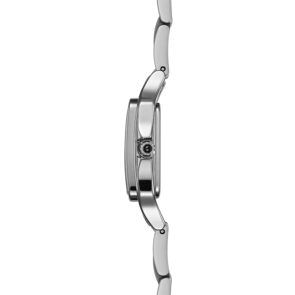 luna 2.webp