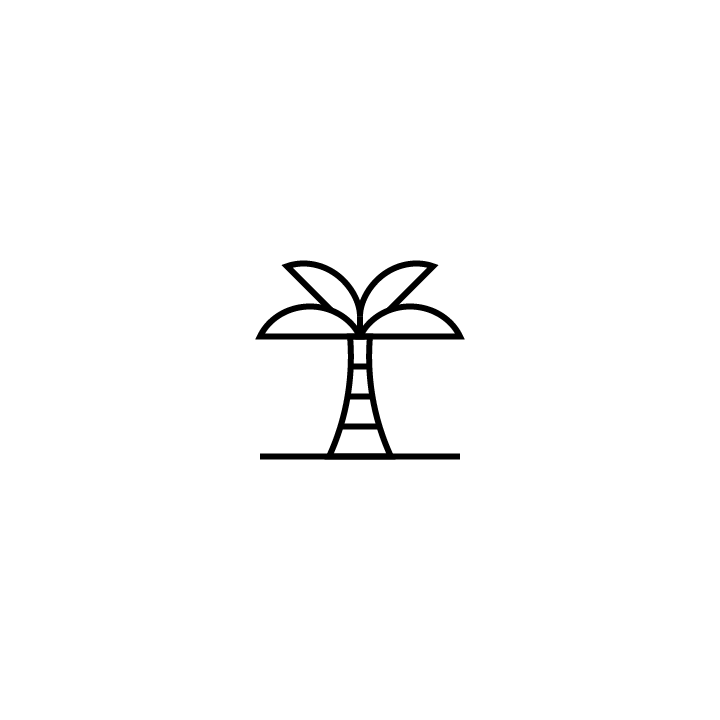 Palm Tree