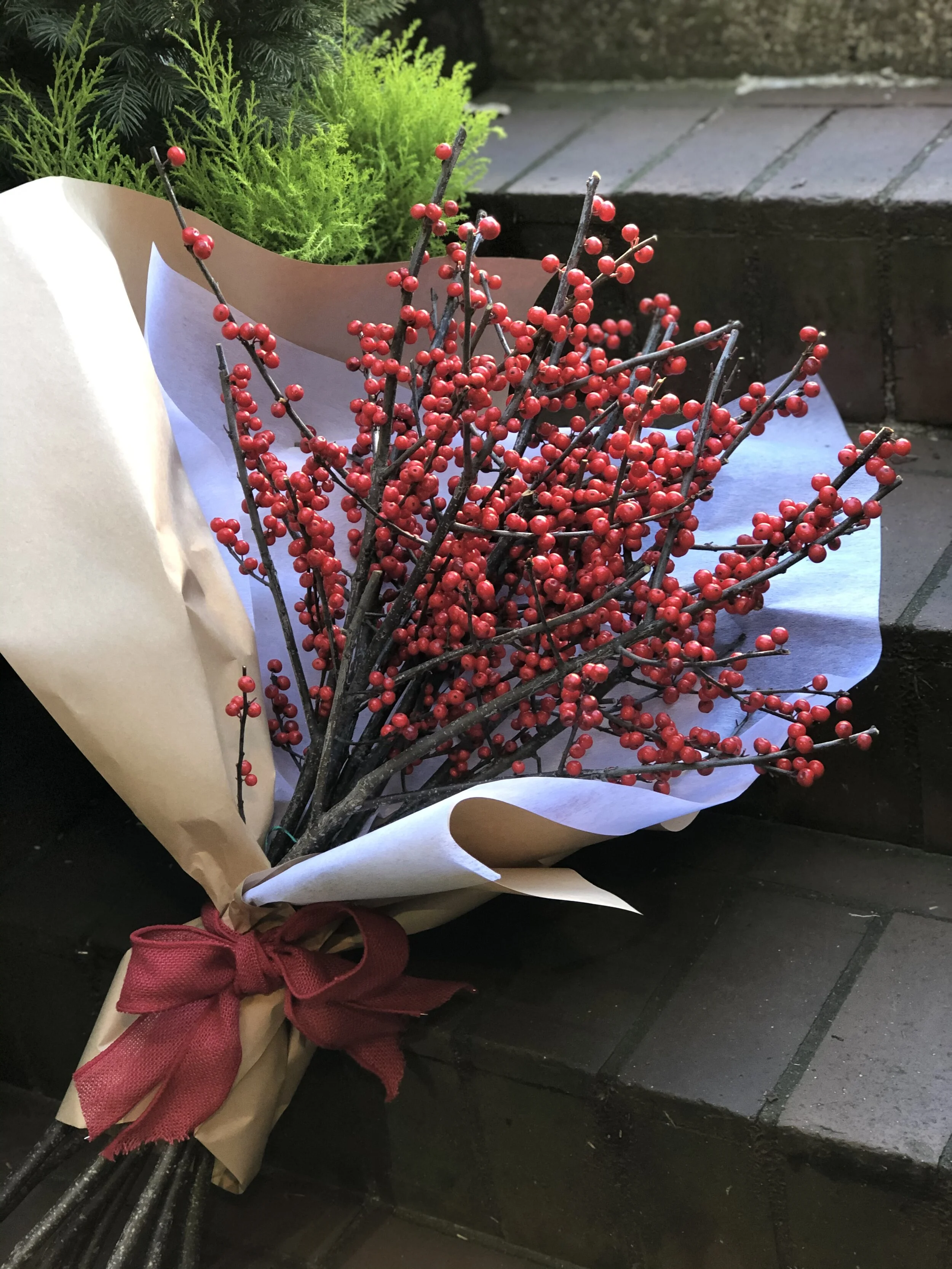 Berry Bliss Bundle