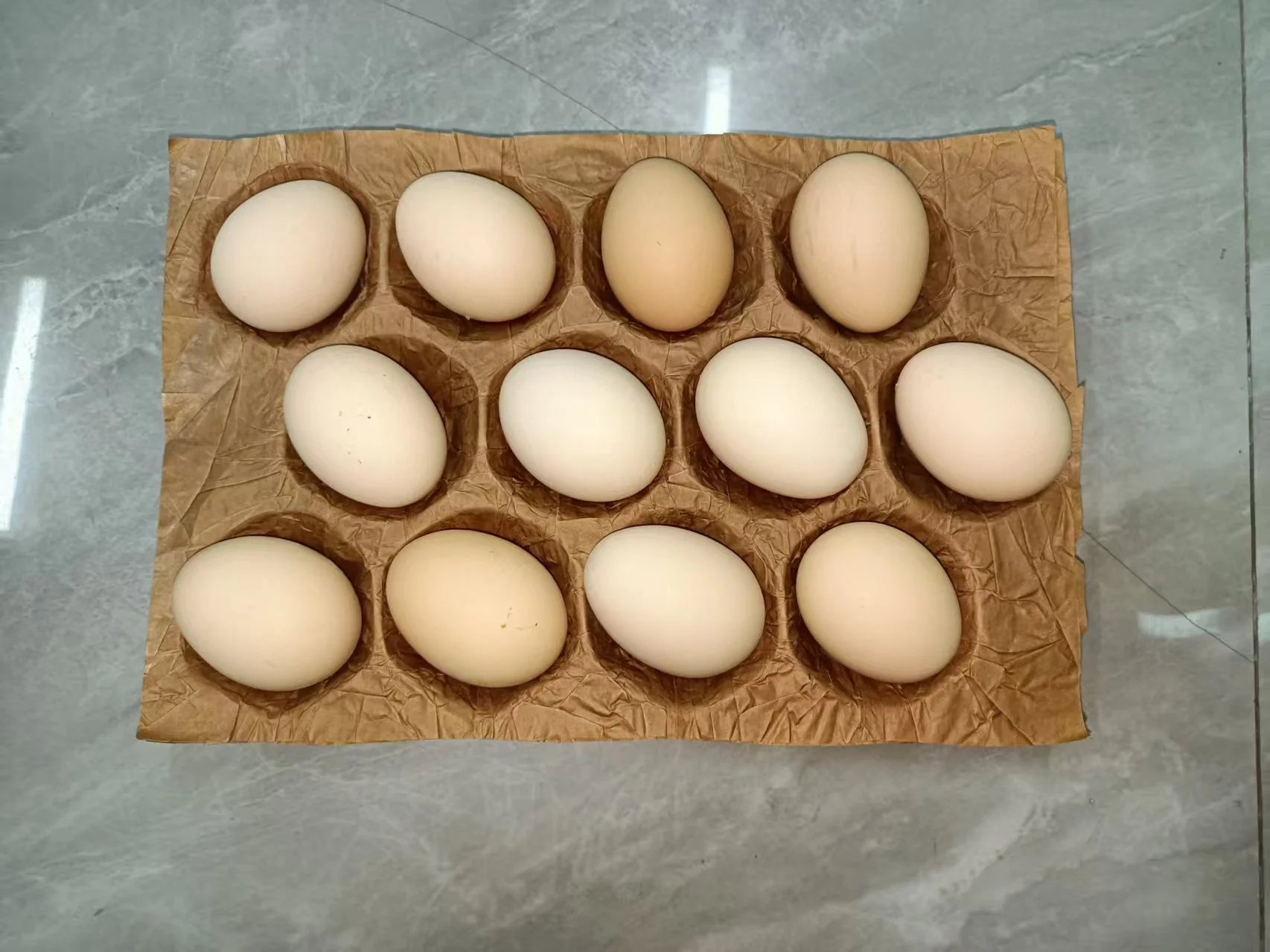 Kraft Tray Making Line 