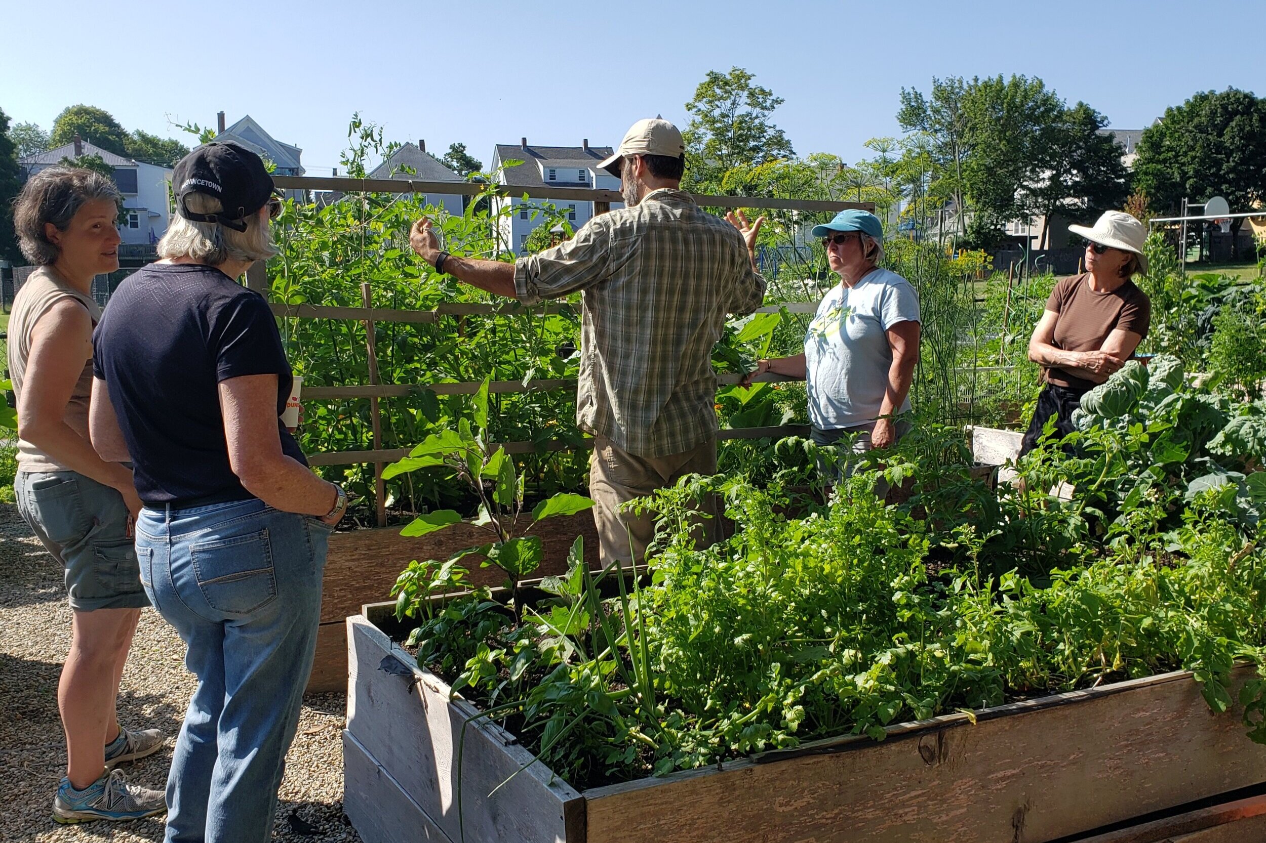 Community Programs — Backyard Growers Join the Food Revolution