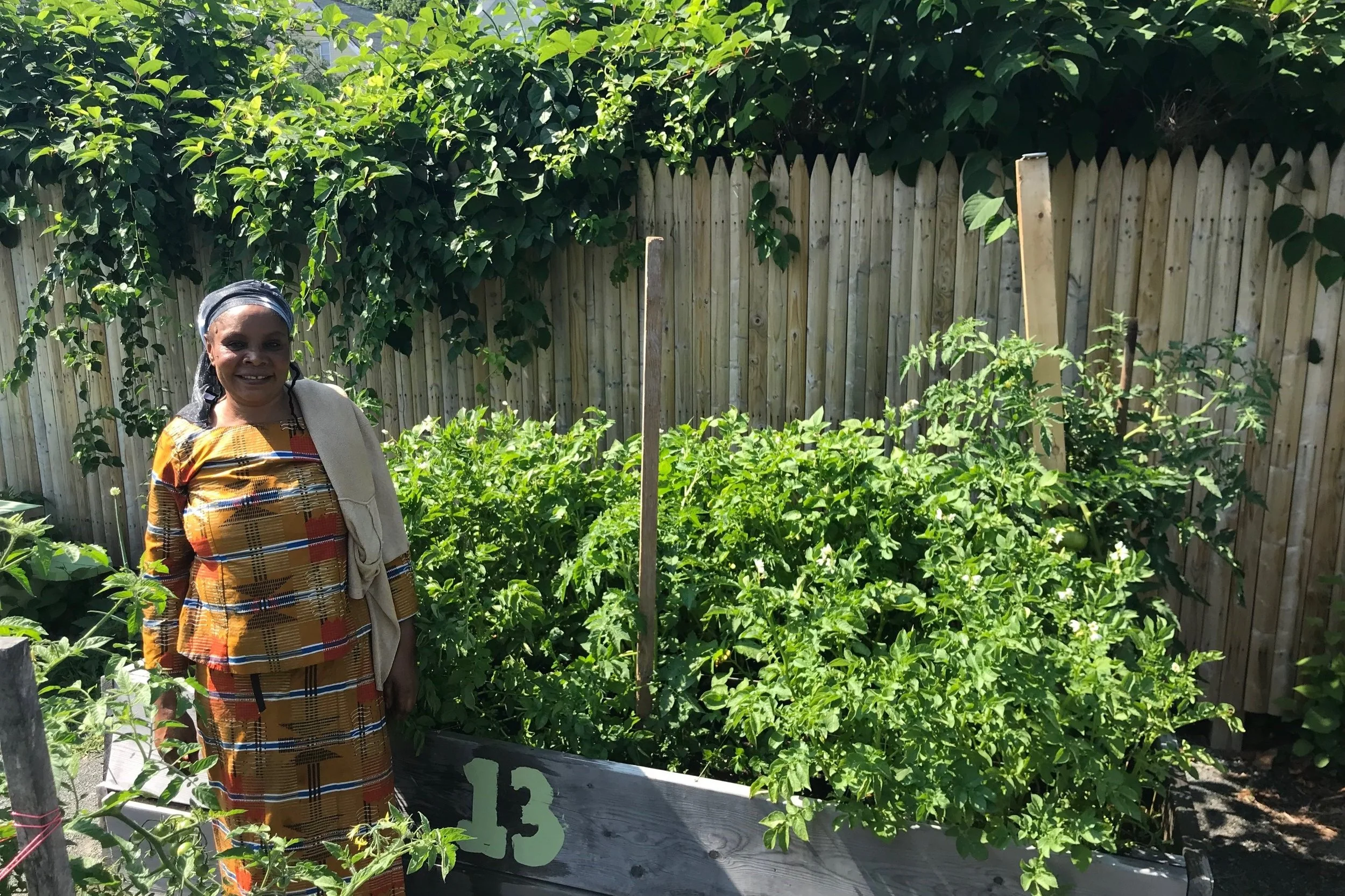 Community Programs — Backyard Growers Join the Food Revolution