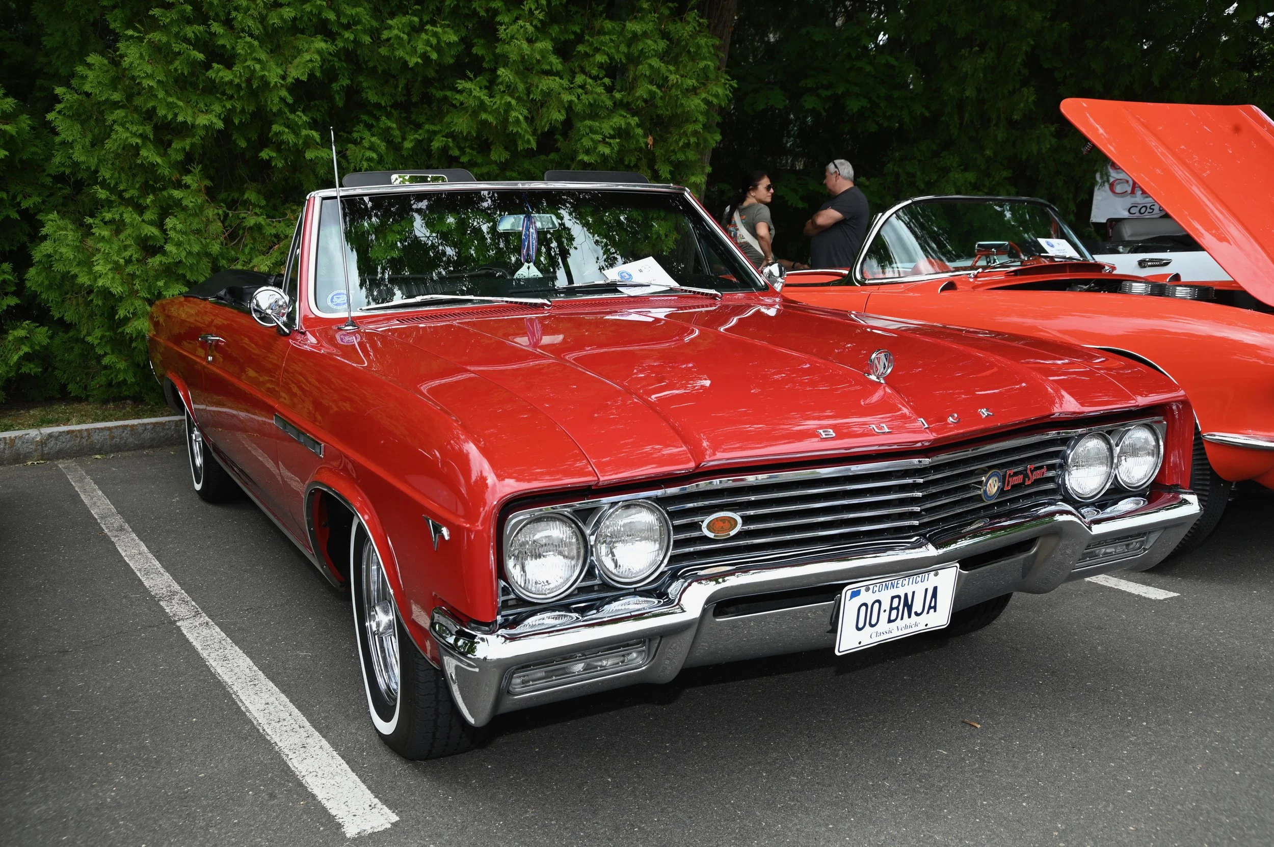 FrankMoretti's1965BuickSkylark.jpeg