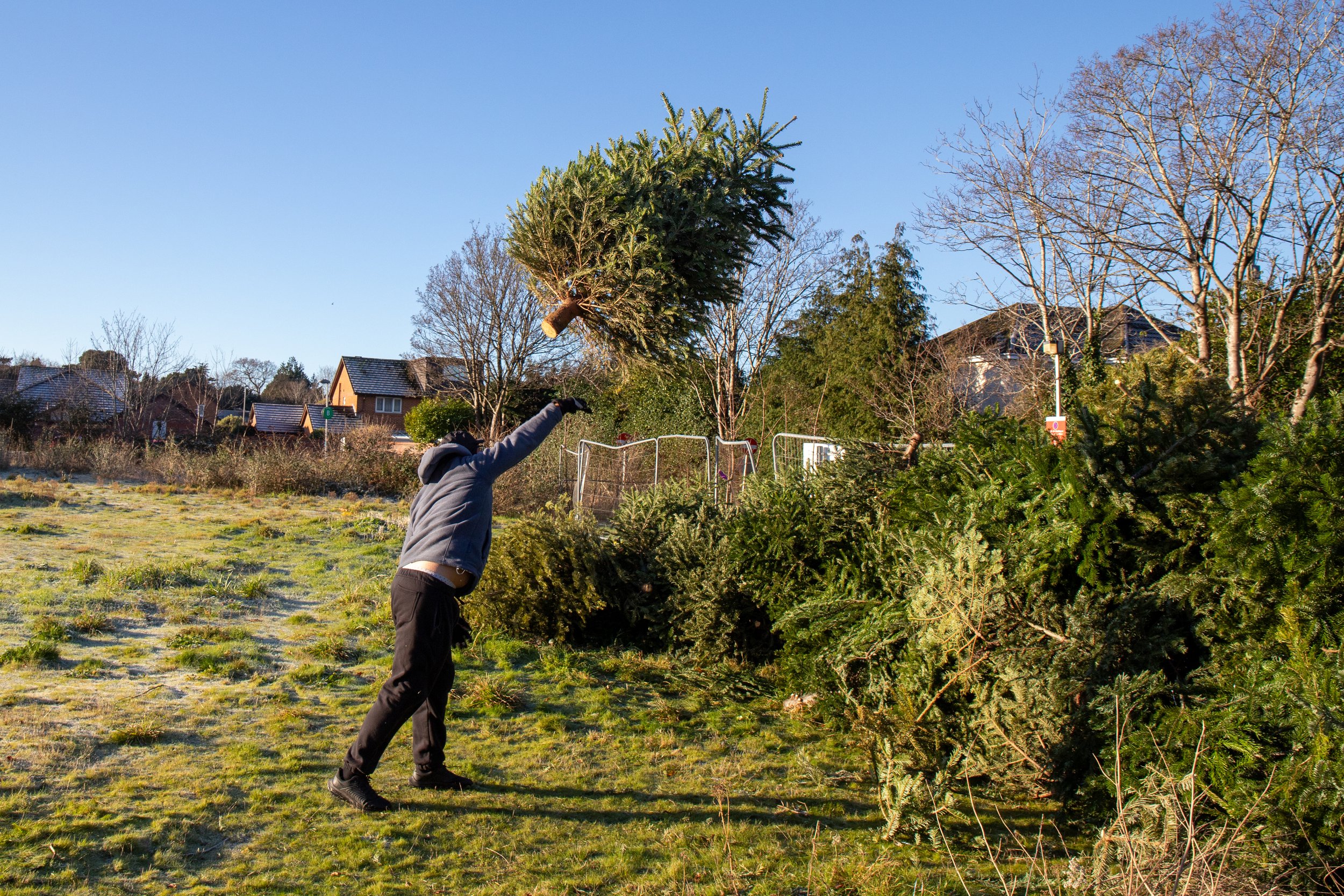 CTT Xmas Tree 030126-7.jpg