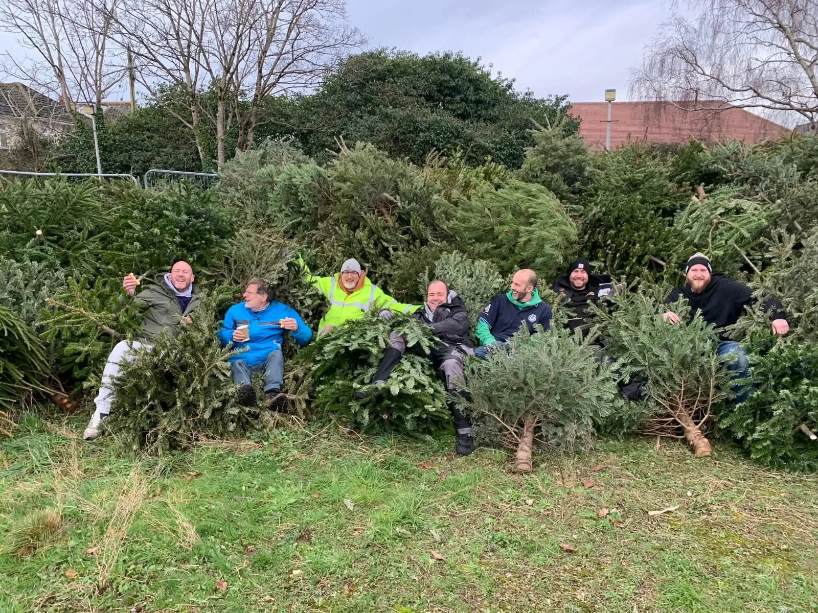 Seven men sitting and leaning on fallen Christmas trees outdoors, smiling and enjoying themselves.