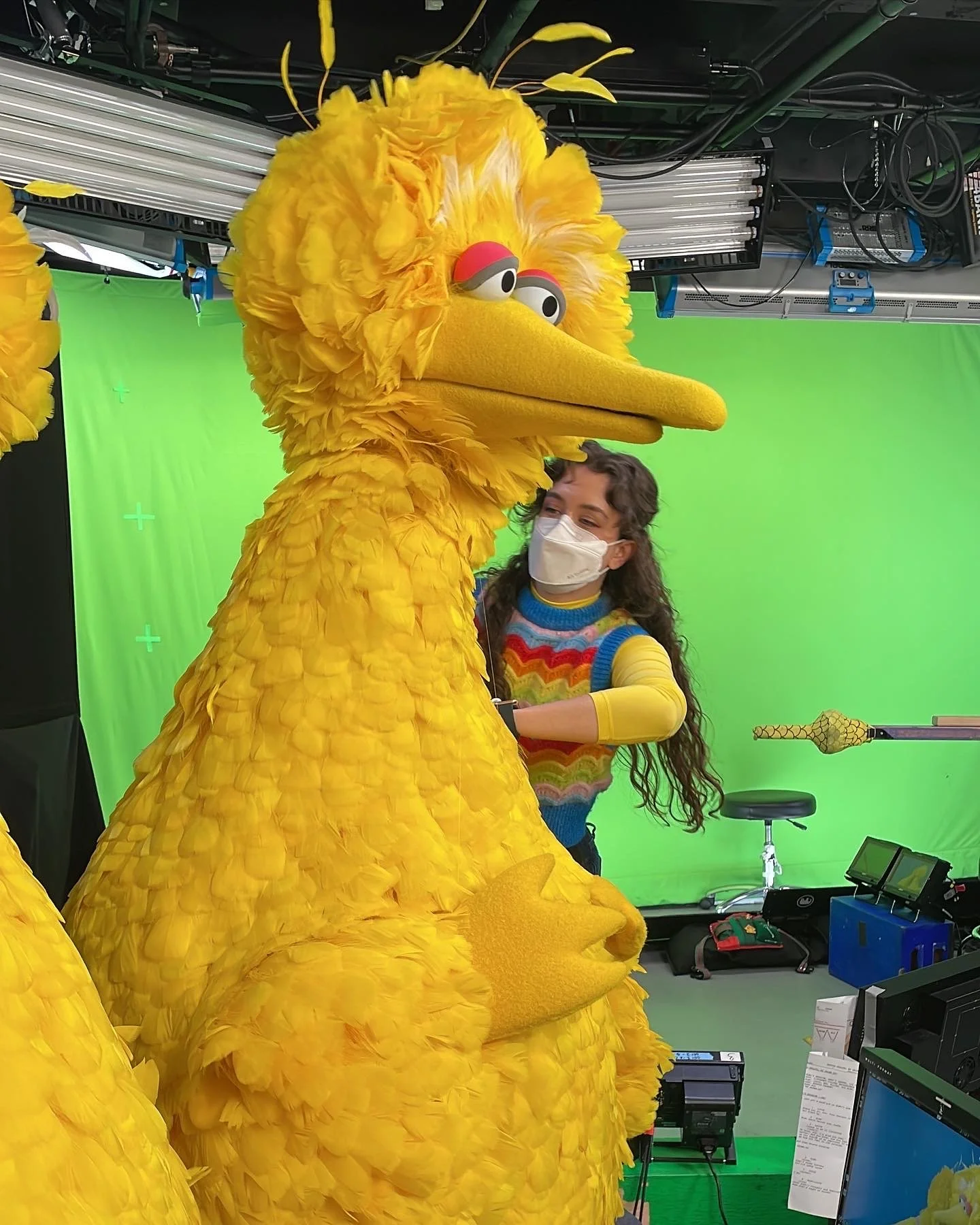 Rose on set wrangling Big Bird