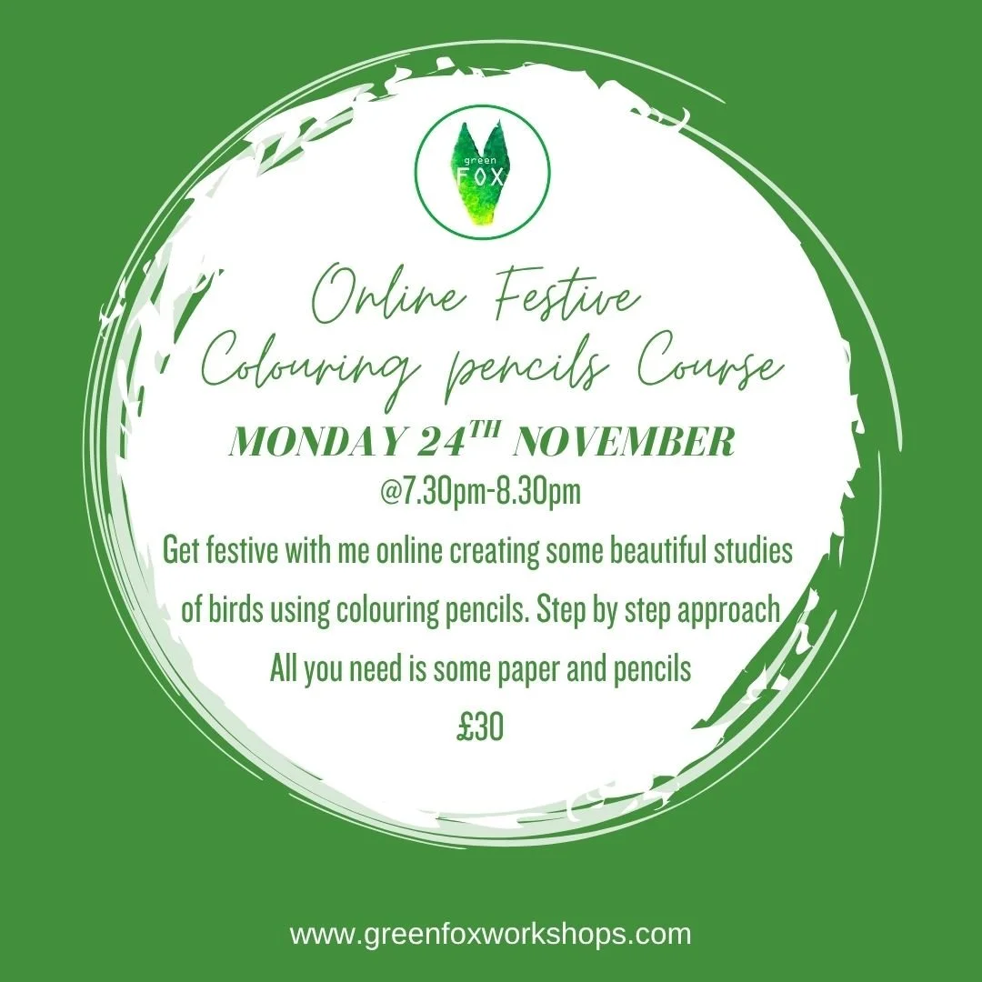 ONLINE BIRDS COLOURING PENCILS 
Starting on Monday 24th November for 4 weeks from 7.40pm-8.30pm. 
In this delightful workshop, you will immerse yourself in the world of vibrant feathers and chirpy melodies as you learn the art of capturing the beau