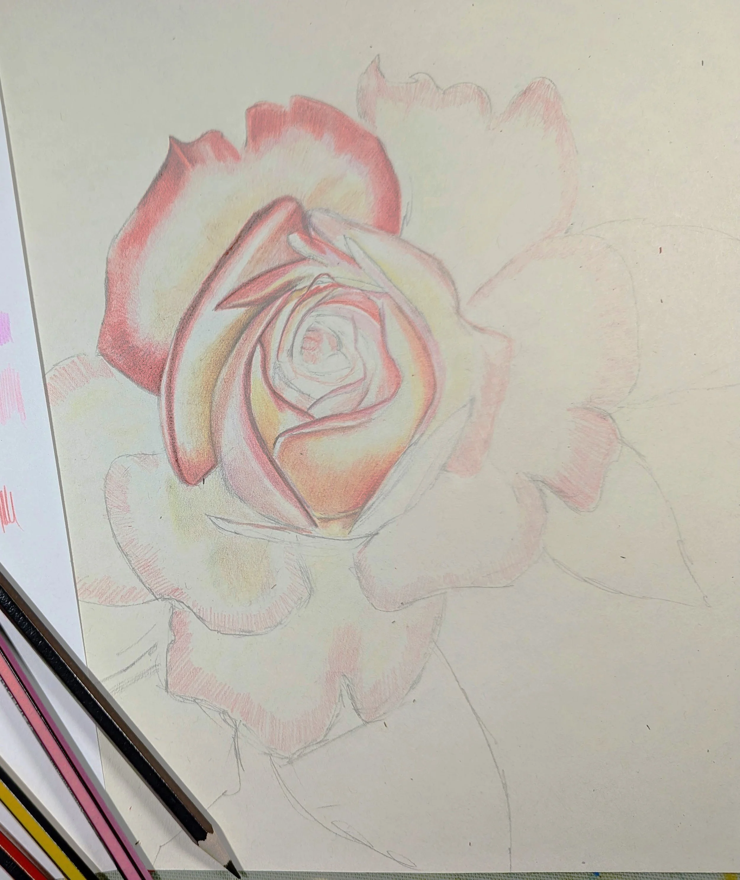 Botanical Colouring pencil workshop @Bishops Palace