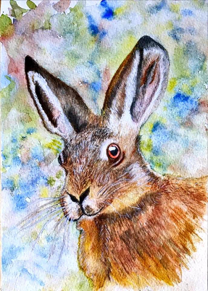 Watercolour Hare @ The Bishop’s Palace