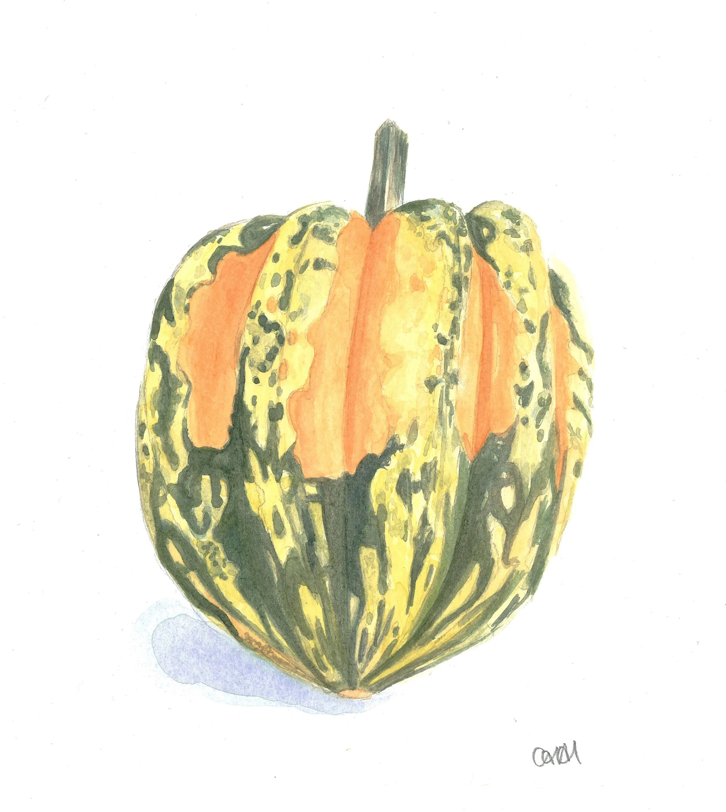 Autumnal Veg Watercolour @ The Bishop's Palace