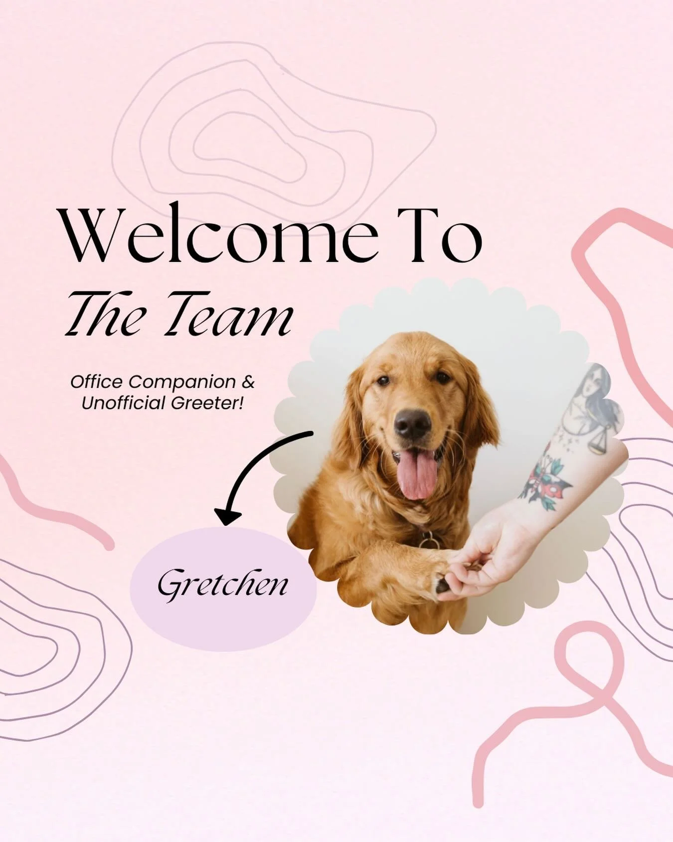 💛 Welcome sweet Gretchen! 💛

Gretchen is Emily&rsquo;s golden retriever and our Unofficial Office Greeter! Not a therapy dog, but very committed to her role, she welcomes everyone with soft tail wags, gentle curiosity, and an impressive ability to 