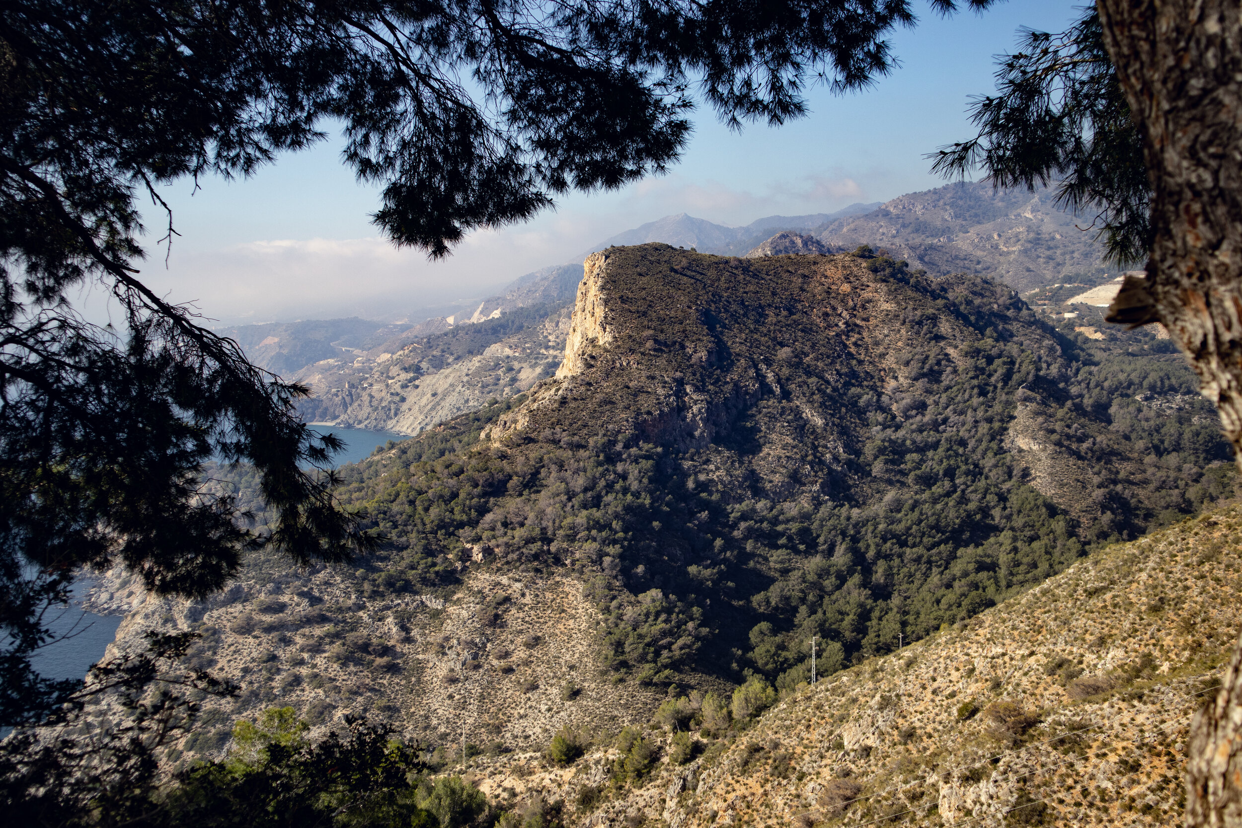 Utsikt över naturreservatet Cerro Gordo