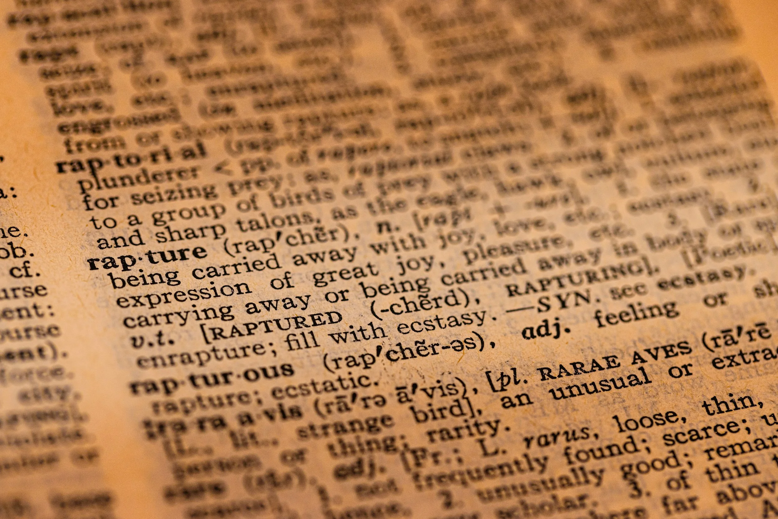 Common Words in the Trauma Therapy World, and What They Actually Mean