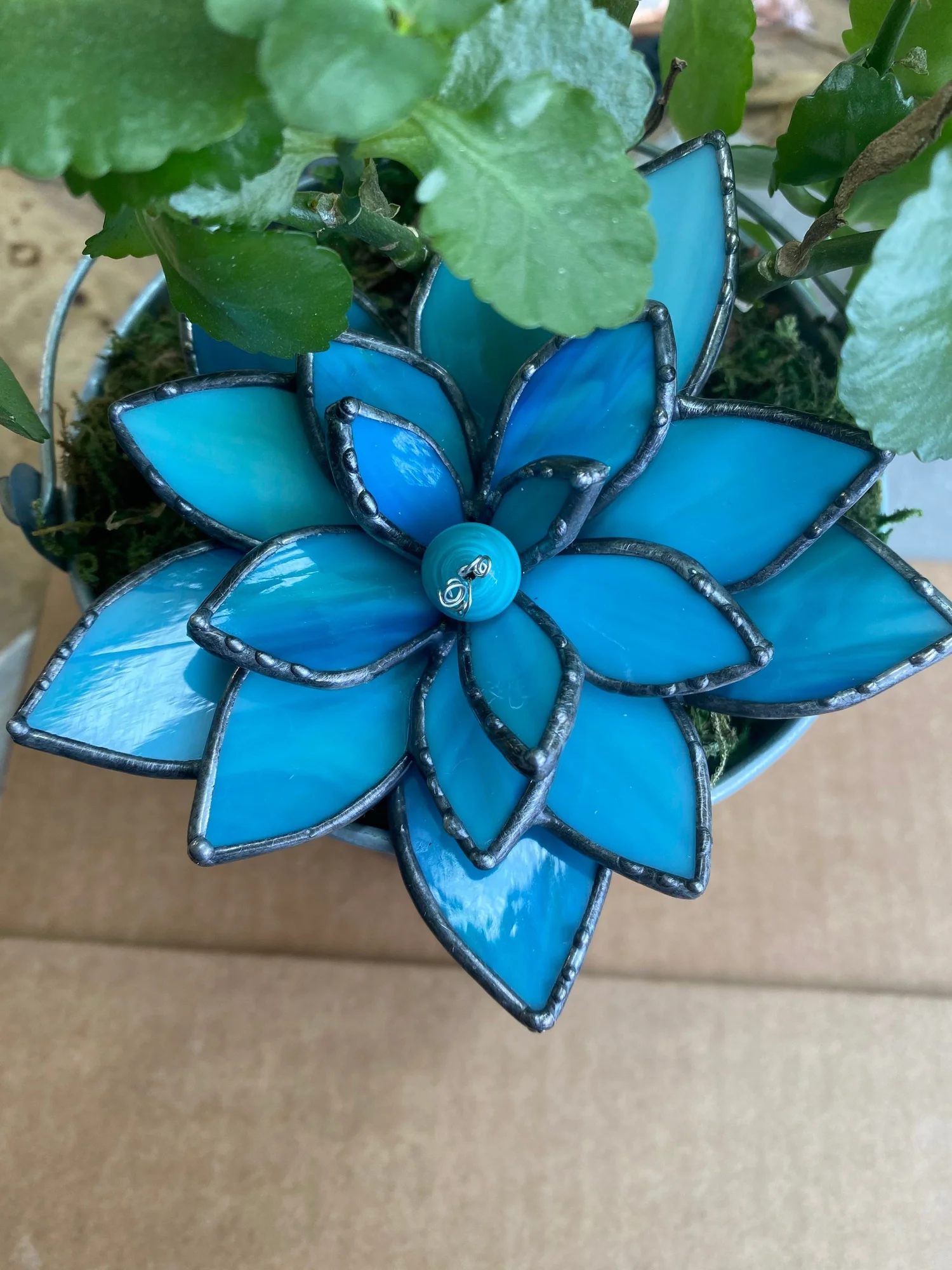 3D stained glass succulent  Glass Art Studios