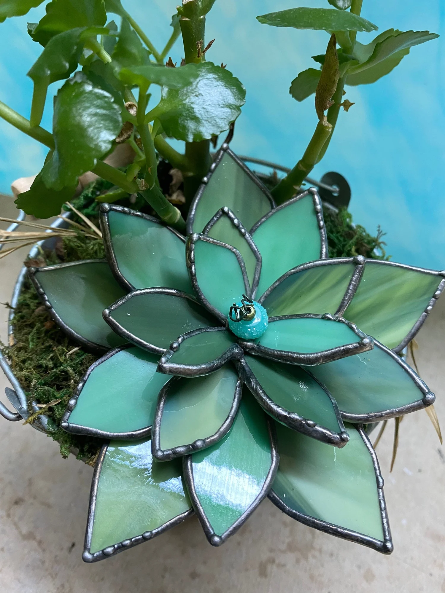 Stained glass succulent  Glass Art Studios