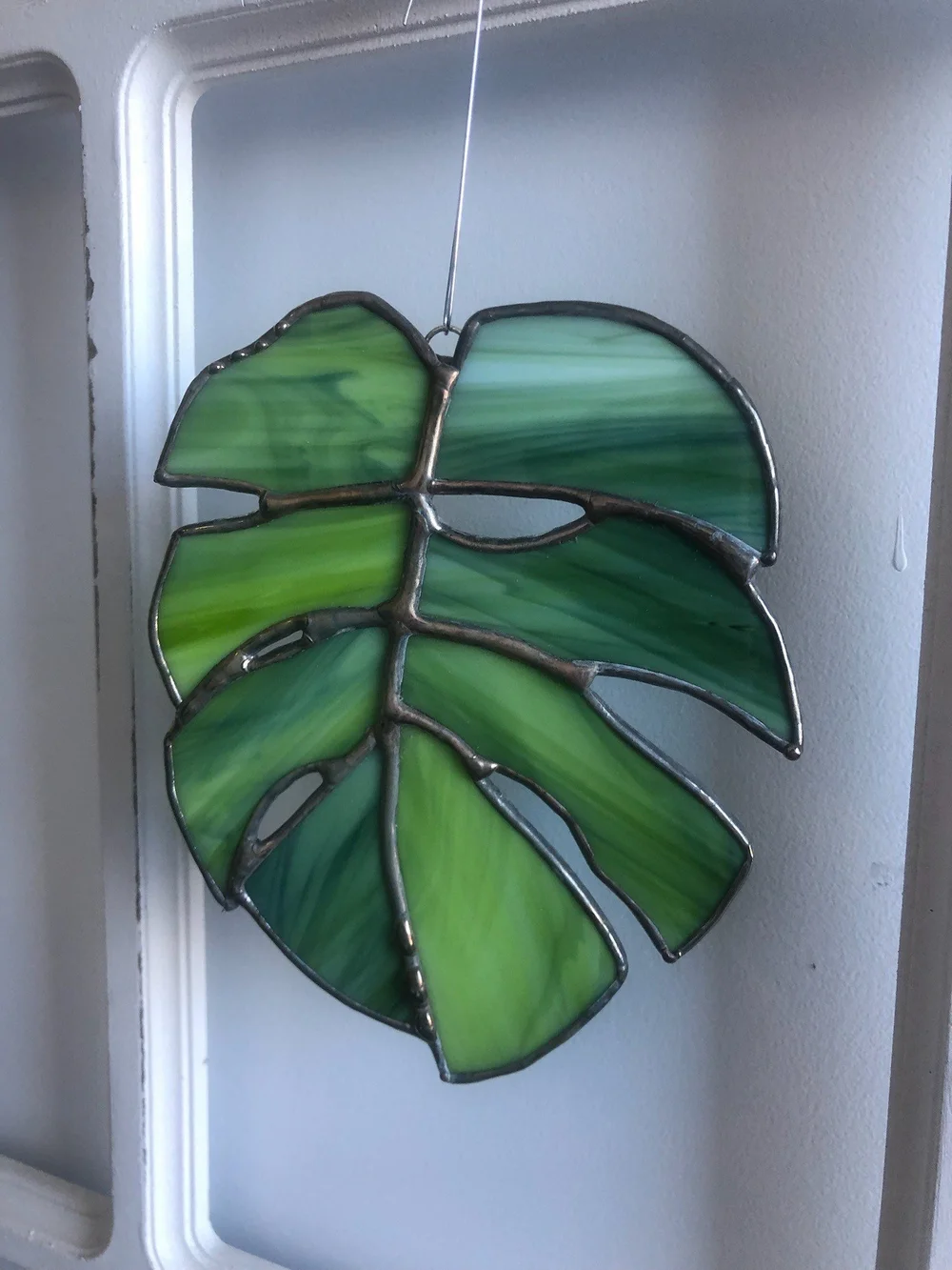 Stained glass monstera leaf  Glass Art Studios