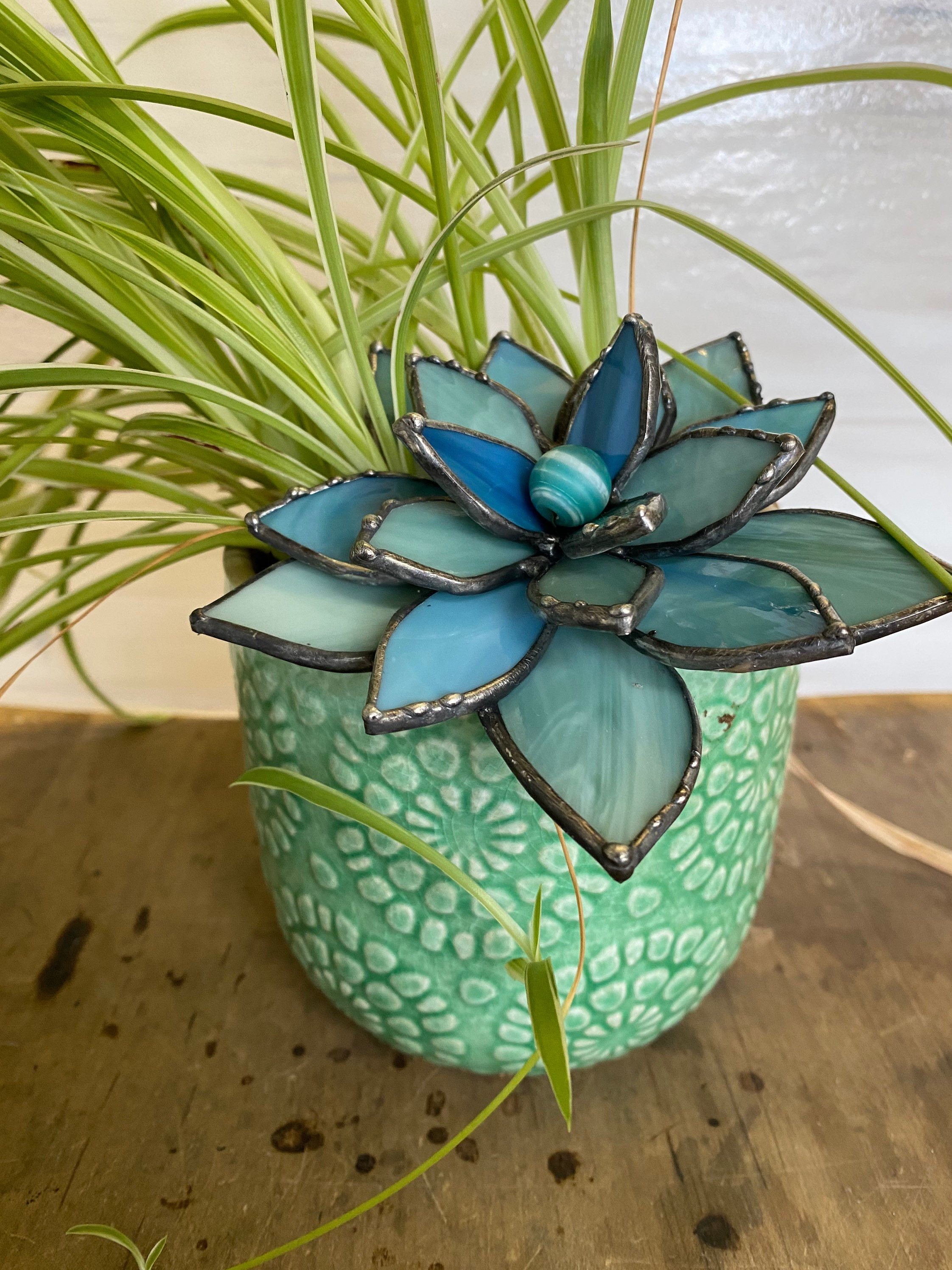 https://i.etsystatic.com/5130947/r/il/eb68f5/3401893012/il_fullxfull.3401893012_q5e4.jpg