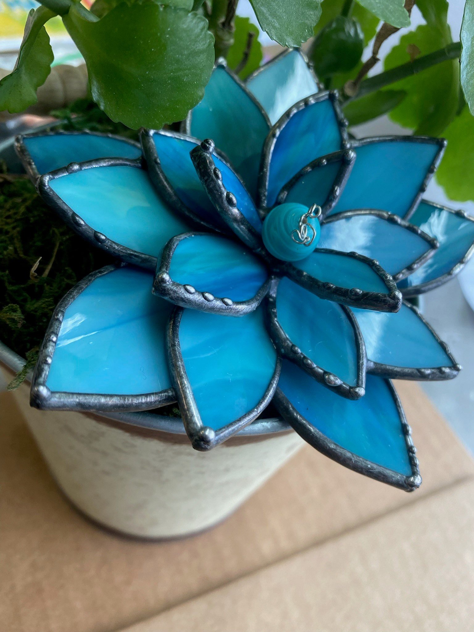 https://i.etsystatic.com/5130947/r/il/55c63c/3724867480/il_fullxfull.3724867480_1qvb.jpg