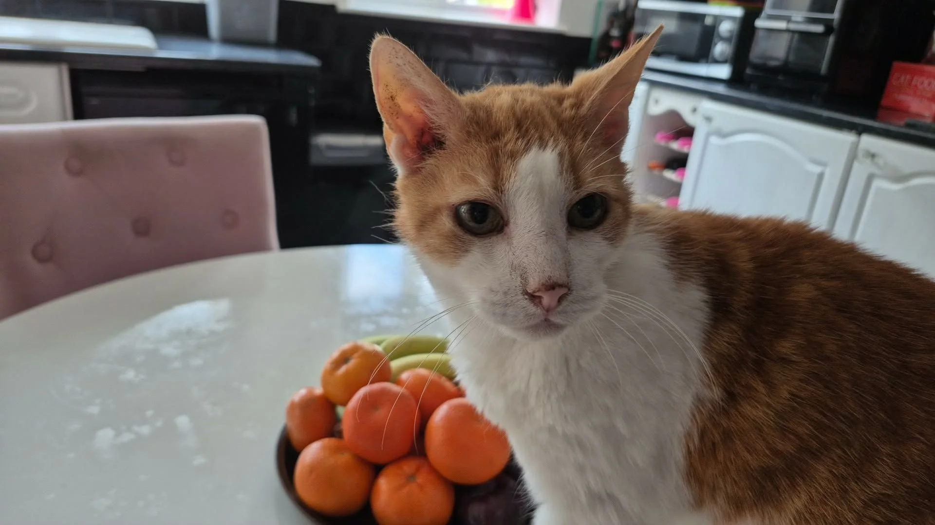 Pablo