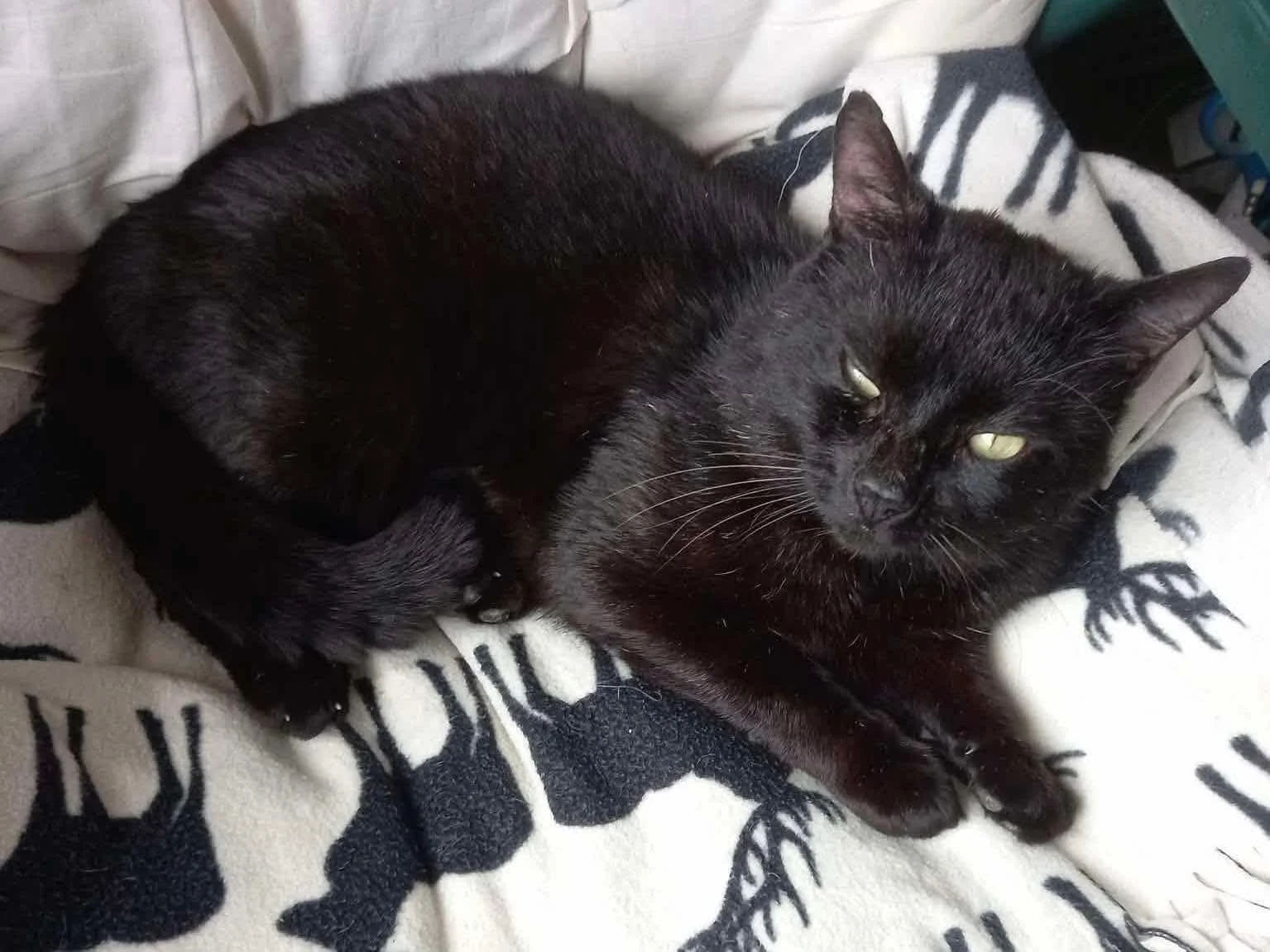 Binx