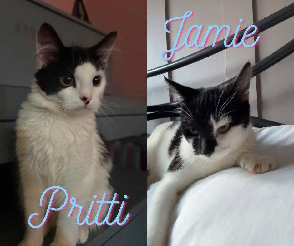 Jamie and Pritti
