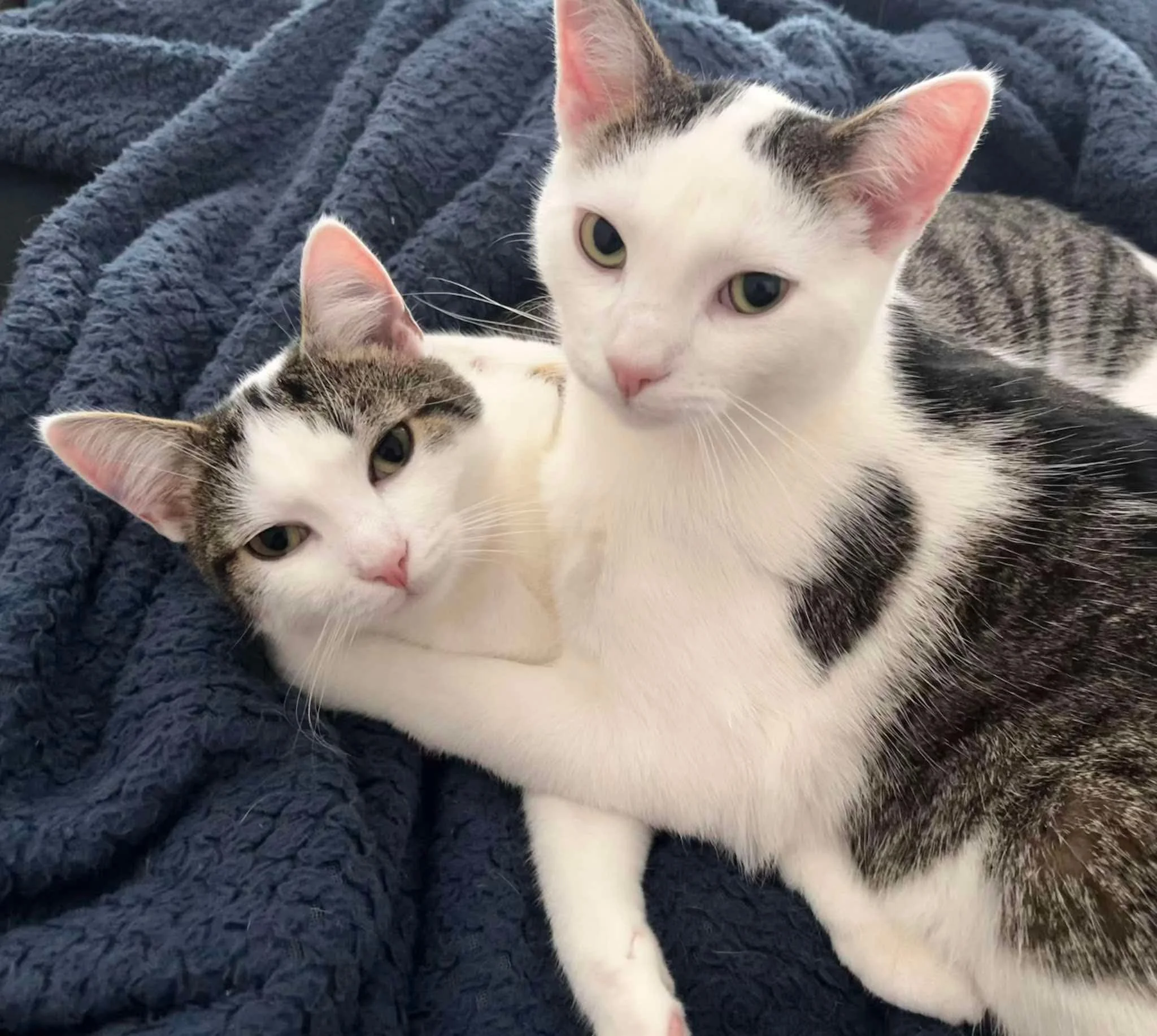 Bert and Melissa
