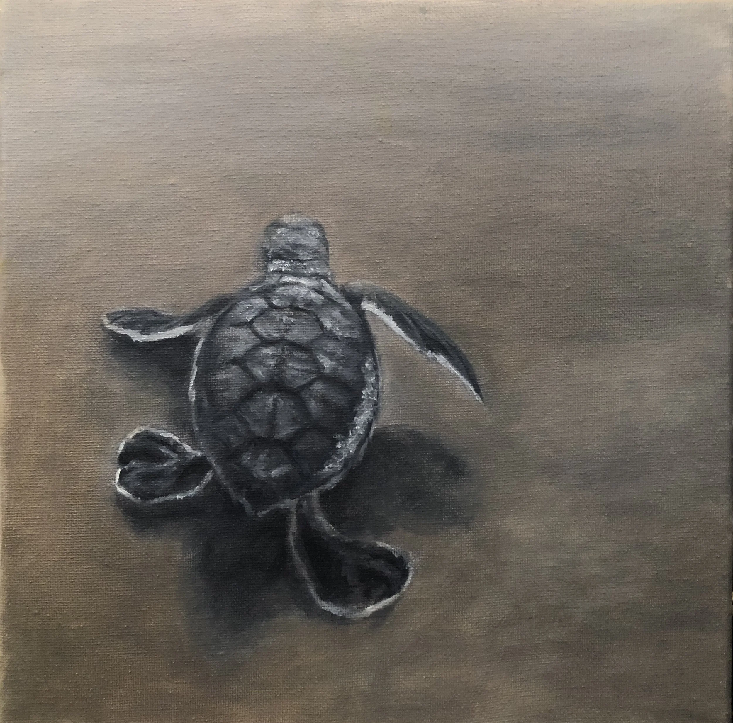 Snail Mail Print Subscription