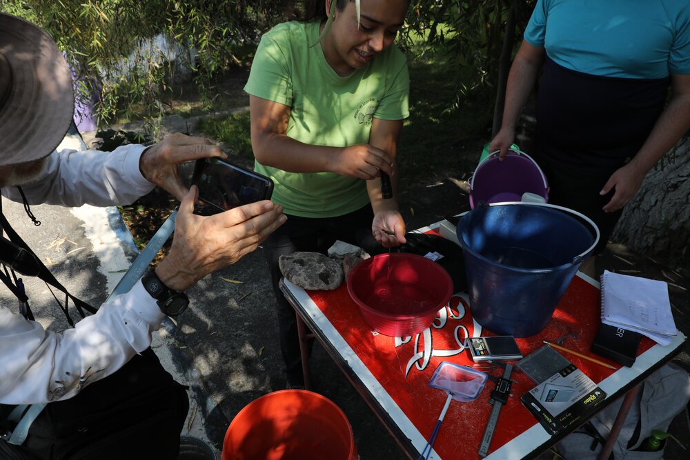  Monitoring the reintroduced populations of Z. tequila 