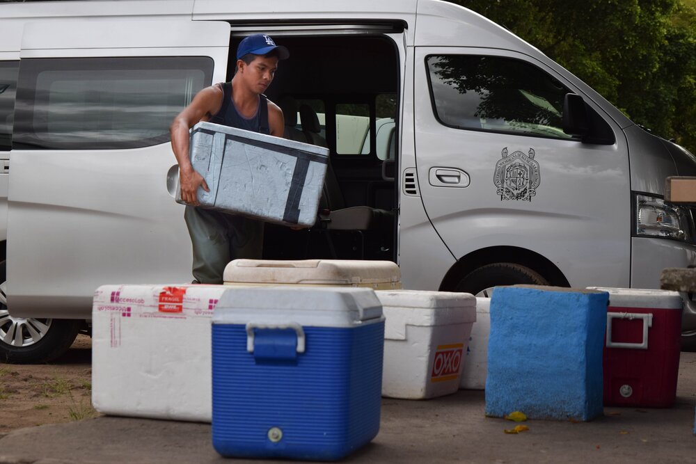  Traveling to the reintroduction site (transporting the specimens to the reintroduction site). 