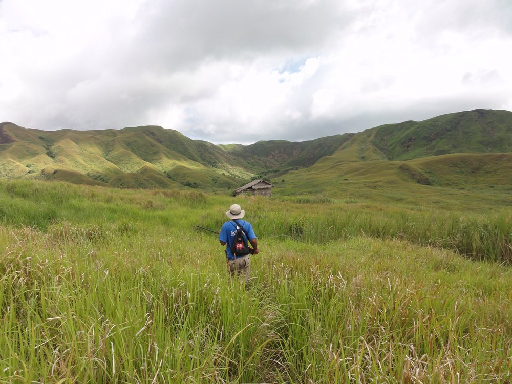 3 Conservation of the Philippine endemic and Critically Endangered Tamaraw – progress and success - DAF - Emmanuel Schutz.JPG