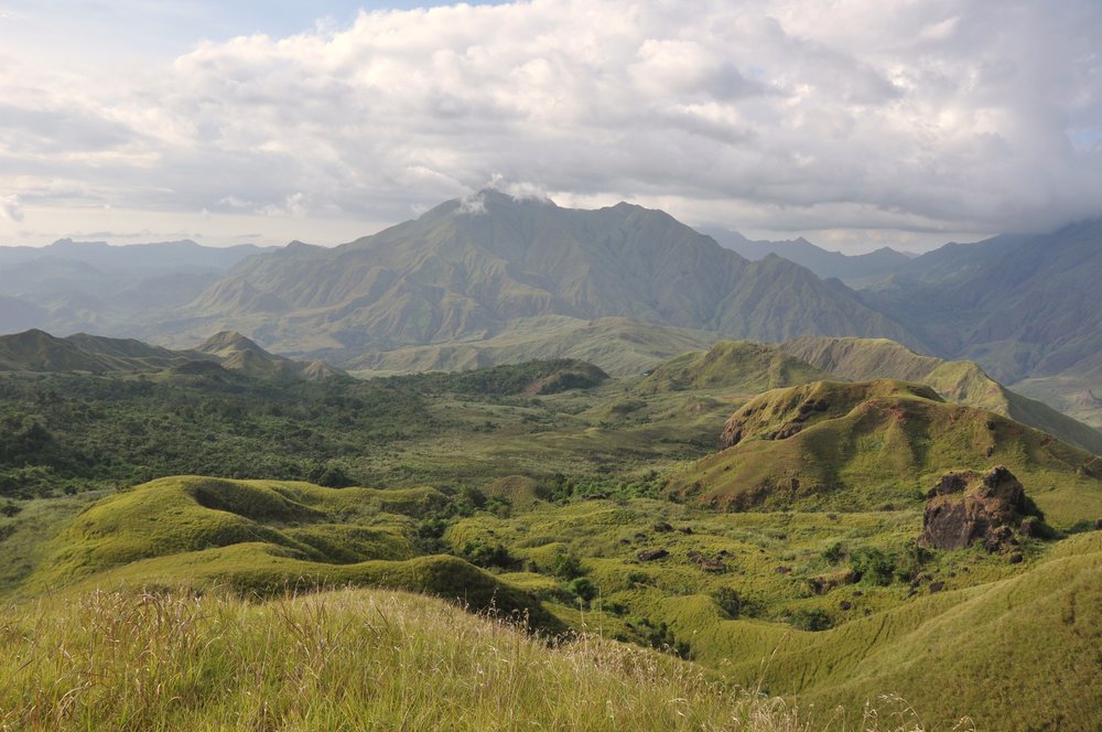 6 Conservation of the Philippine endemic and Critically Endangered Tamaraw – progress and success - DAF - Emmanuel Schutz.JPG