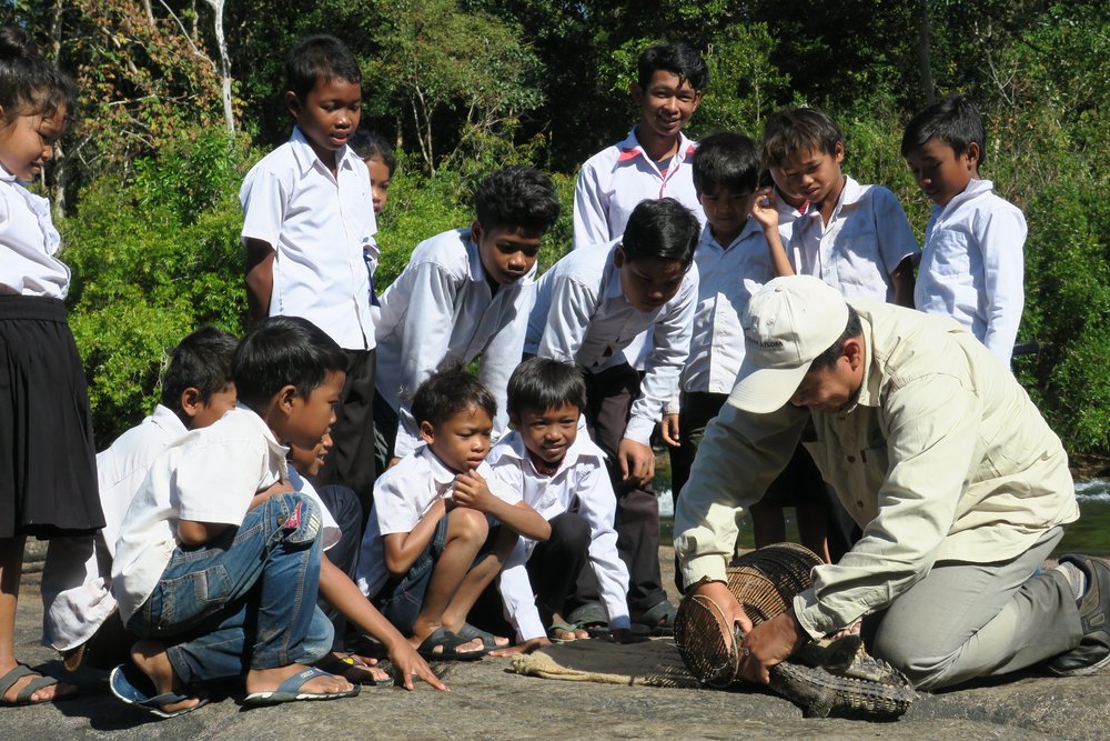 Release of Siamese crocodile in the Cardamom Mountains with local schoolchildren (credit - Pablo Sinovas - FFI) - Pablo Sinovas.JPG