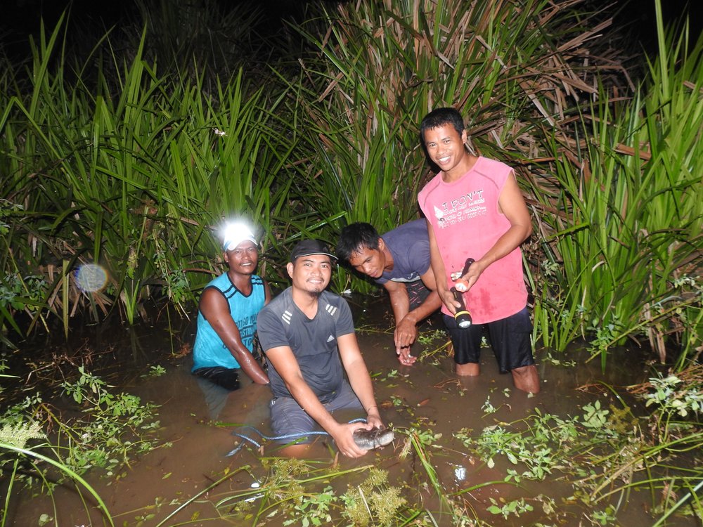 2. Citizen Science Monitoring, Philippines, 2019. CPPI