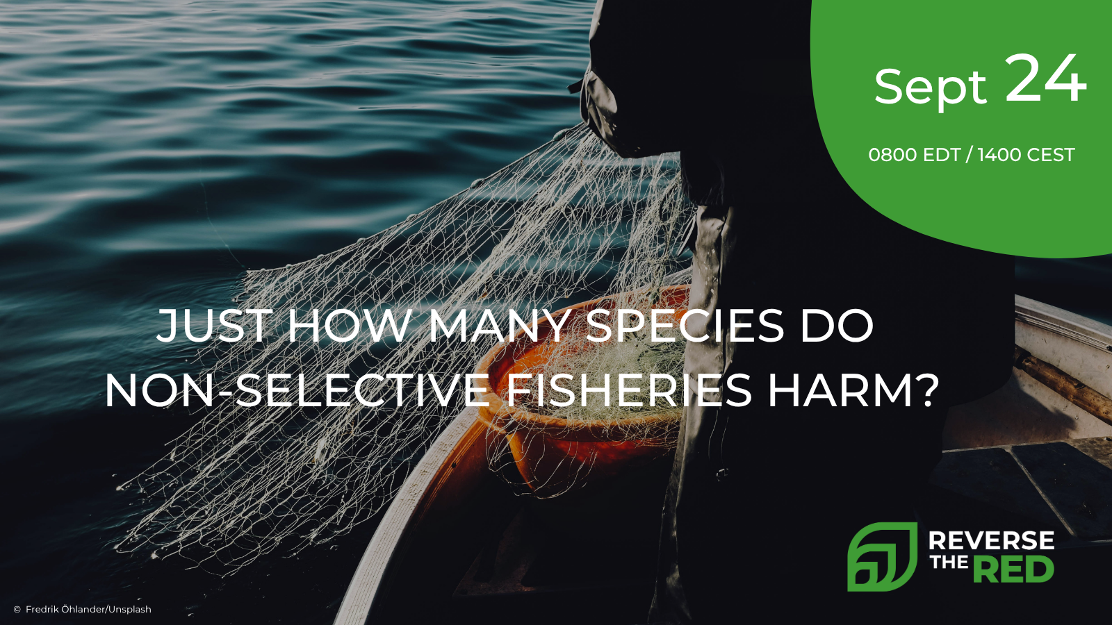 Just how many species do non-selective fisheries harm?