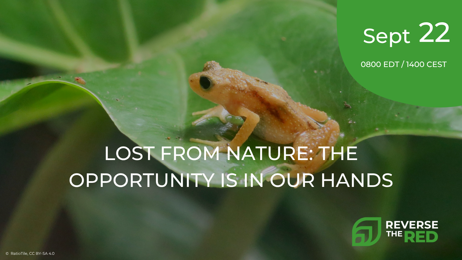 Lost from Nature: the Opportunity is in Our Hands