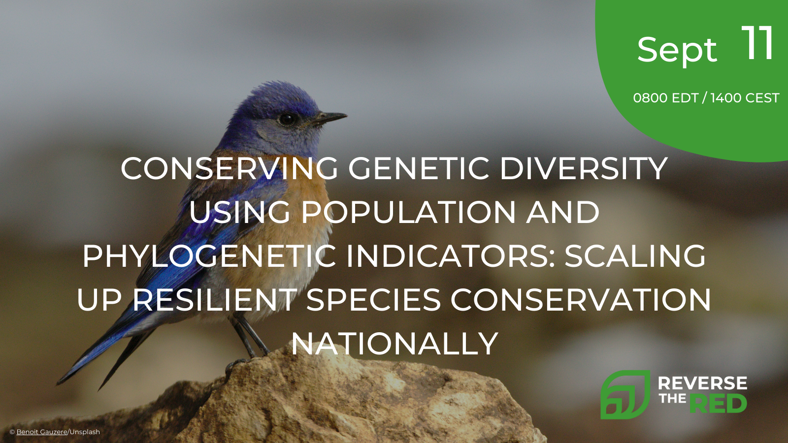 Conserving genetic diversity using population and phylogenetic indicators: scaling up resilient species conservation nationally